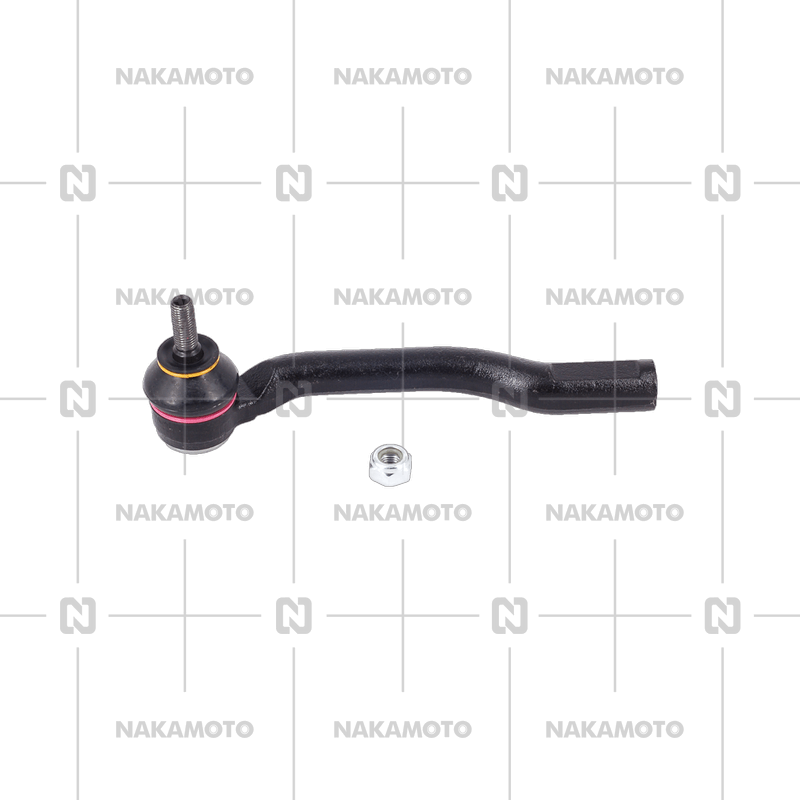 بيض طرف شمال تيدا ناكاموتو تايوانى