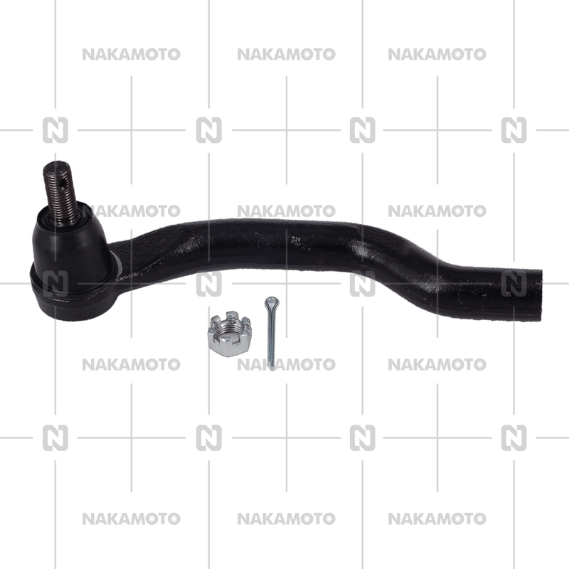 بيض طرف شمال سيفيك 013 ناكاموتو تايوانى