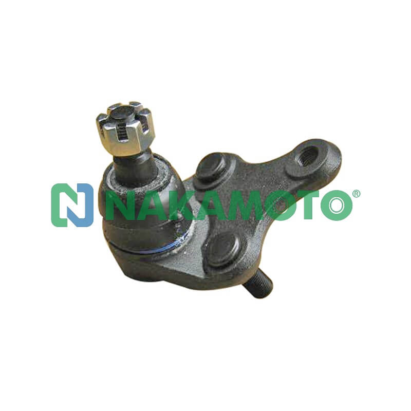 بيض مقص جنوب افريقى ناكاموتو تايوانى